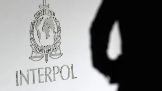 Interpol phá hàng trăm vụ buôn bán trái phép động vật hoang dã 1