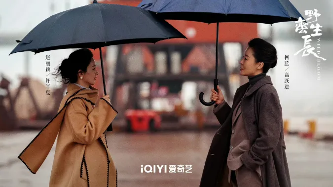 Gió Thổi Bán Hạ là bộ phim tiêu biểu cho nữ quyền? 5