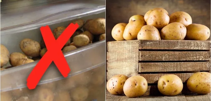 Bật mí cách bảo quản thực phẩm trong tủ lạnh an toàn 3