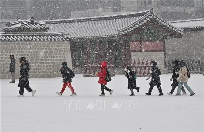Hàn Quốc nâng cảnh báo thiên tai cấp 3 khi tuyết rơi càng dày đặc 1