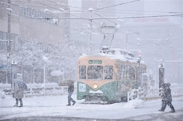 Hàn Quốc: Tai nạn giao thông hàng loạt do tuyết rơi dày