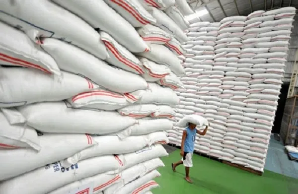 Những nhân tố mới đang có lợi thúc đẩy xuất khẩu gạo Việt Nam khẳng định vị thế