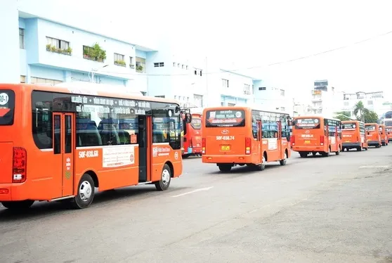 Người già, thương binh, người khuyết tật được đi xe buýt miễn phí những tuyến nào? 1