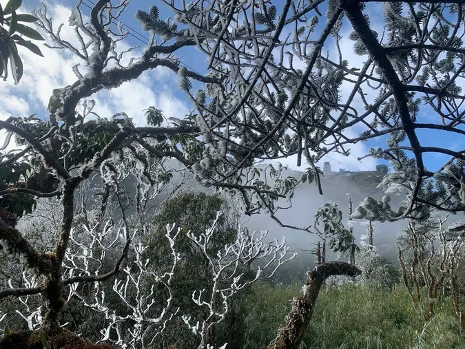 Dự báo thời tiết hôm nay 28/12/2022: vùng núi Bắc bộ có mưa, trời rét đậm, rét hại 1