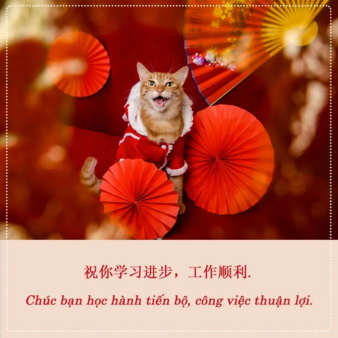 Chúc mừng năm mới tiếng Trung 4