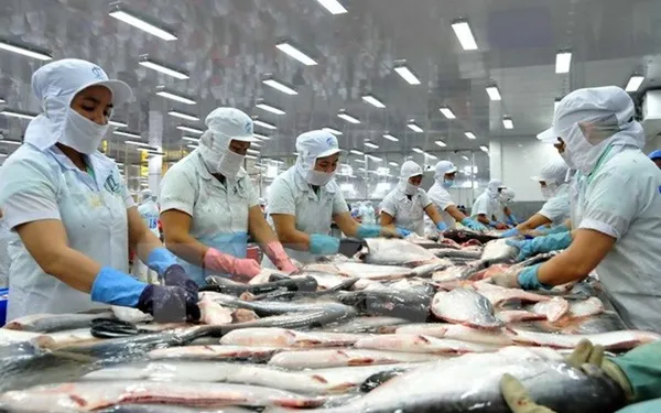 Giá cả thị trường hôm nay 5/1/2023: Dự báo xuất khẩu cá tra nhiều thách thức 1