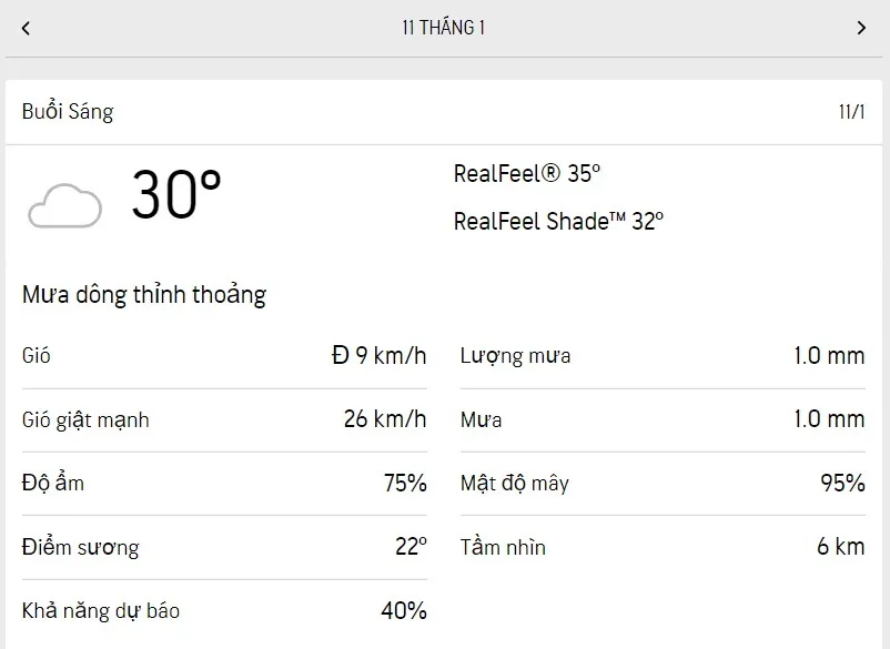 Dự báo thời tiết TPHCM hôm nay 10/1 và ngày mai 11/1/2023: cả ngày dịu nắng, buổi chiều có mưa rào 4