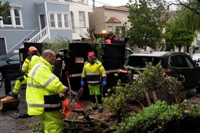 Cây cối bị quật đổ do mưa bão tại San Francisco, Mỹ, ngày 5/1/2023.