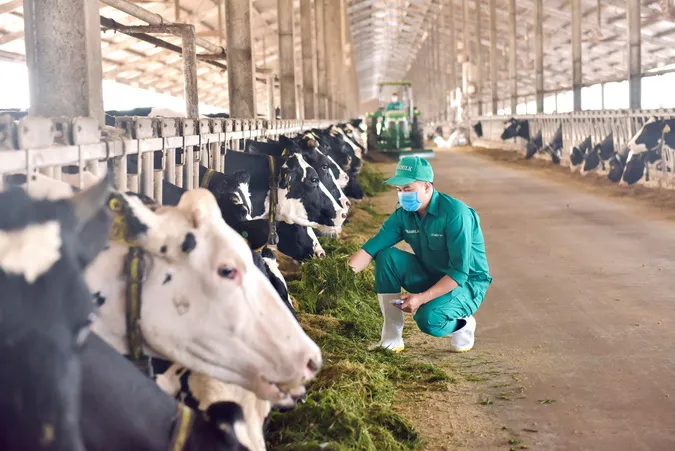 Vinamilk có sản phẩm sữa tươi đầu tiên trên thế giới được chứng nhận từ tổ chức Clean Label Project 4
