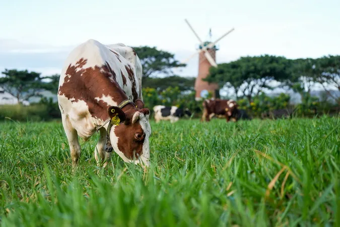 Vinamilk có sản phẩm sữa tươi đầu tiên trên thế giới được chứng nhận từ tổ chức Clean Label Project 6