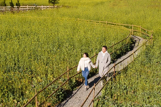 Cao Thái Sơn 'nhá hàng' ca khúc mới, lại thêm một bản ballad buồn.. 2