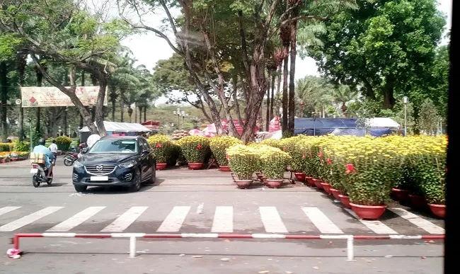 TPHCM: Chợ hoa Tết đồng loạt mở từ hôm nay 1