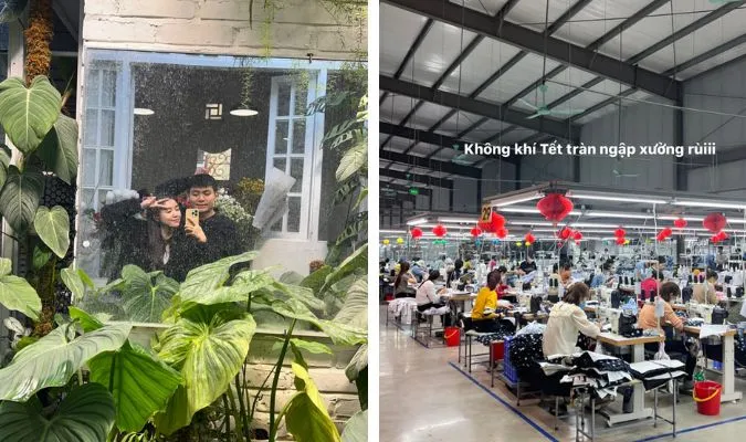 Dàn nghệ sĩ Việt nô nức sắm sửa đón Tết 2023 4