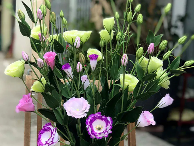 Gợi ý những loại hoa giúp làm đẹp không gian ngày Tết 3