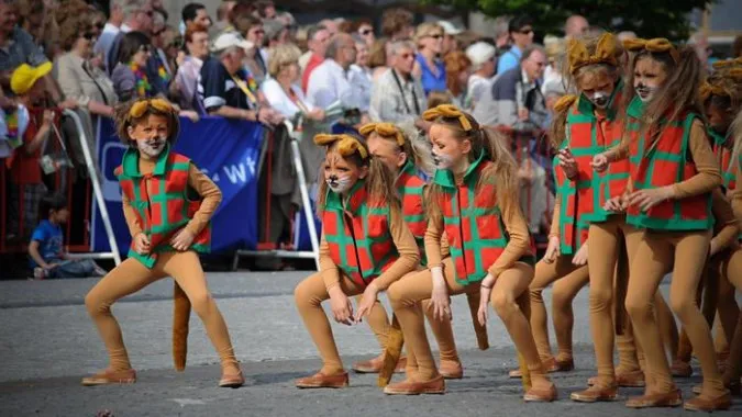 Lễ hội Mèo “độc đáo” tại Bỉ 2