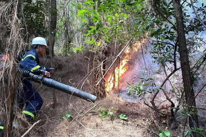 Lực lượng chức năng dập lửa tại rừng thông thuộc huyện Nghi Lộc, Nghệ An.