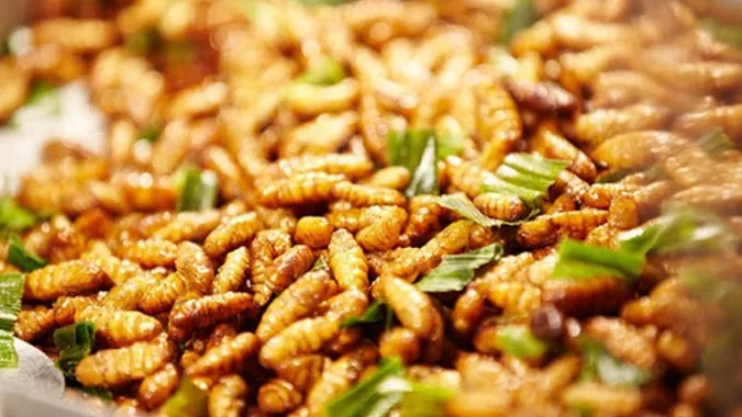Qatar cấm tiêu thụ thực phẩm chế biến từ côn trùng 1