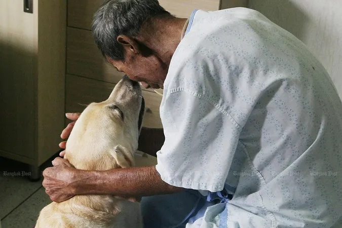 Bệnh nhân ung thư Thái Lan chuyển sang trị liệu bằng thú cưng 1