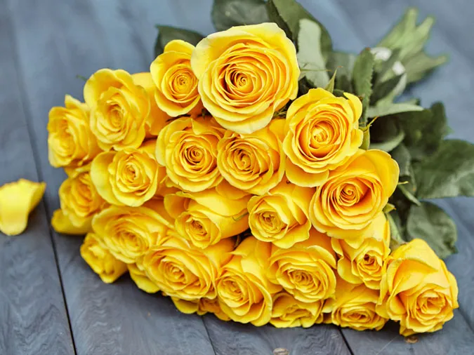 Loại hoa nào không nên tặng trong Valentine? Gợi ý 8 mẫu hoa ý nghĩa cho ngày Lễ tình nhân 5