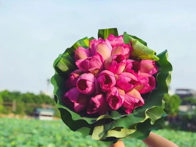 Loại hoa nào không nên tặng trong Valentine? Gợi ý 8 mẫu hoa ý nghĩa cho ngày Lễ tình nhân 2