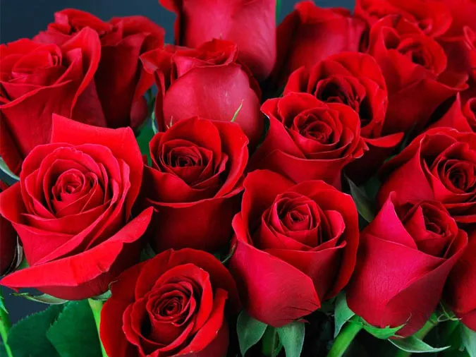 Vì sao hoa hồng và socola lại được ưa chuộng trong ngày Lễ tình nhân? 1
