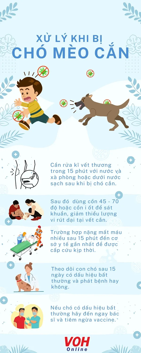 Tăng cường phòng, chống bệnh dại trên người 1