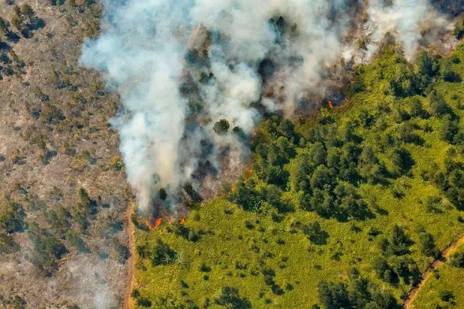 Cháy rừng ở Cuba vẫn chưa thể dập tắt sau 5 ngày 1