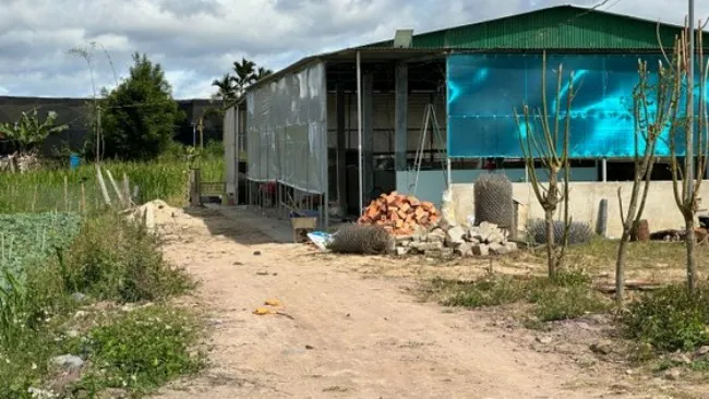 Mâu thuẫn đất đai,  con rể sát hại gia đình vợ 2