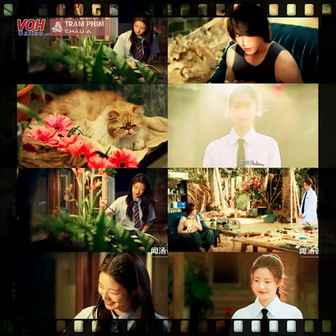 Review Hoa Mùa Hạ: Ngôn Thừa Húc – Từ Nhược Hàm trong mối tình rực rỡ day dứt khôn nguôi 24