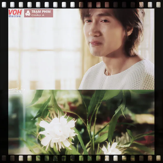 Review Hoa Mùa Hạ: Ngôn Thừa Húc – Từ Nhược Hàm trong mối tình rực rỡ day dứt khôn nguôi 27