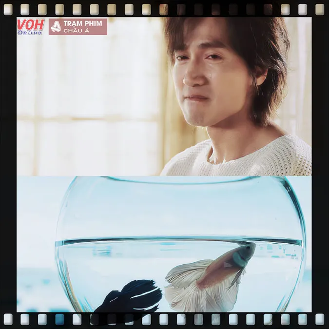 Review Hoa Mùa Hạ: Ngôn Thừa Húc – Từ Nhược Hàm trong mối tình rực rỡ day dứt khôn nguôi 26