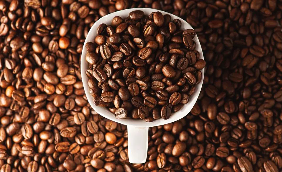 Giá cà phê hôm nay 8/3/2023: Quay đầu tăng nhẹ do tồn kho giảm giúp Arabica tiếp tục tăng 1