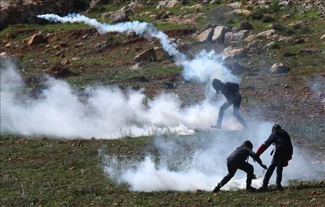 Liên hợp quốc: Israel và Palestine đang bị cuốn vào “vòng xoáy” bạo lực 1
