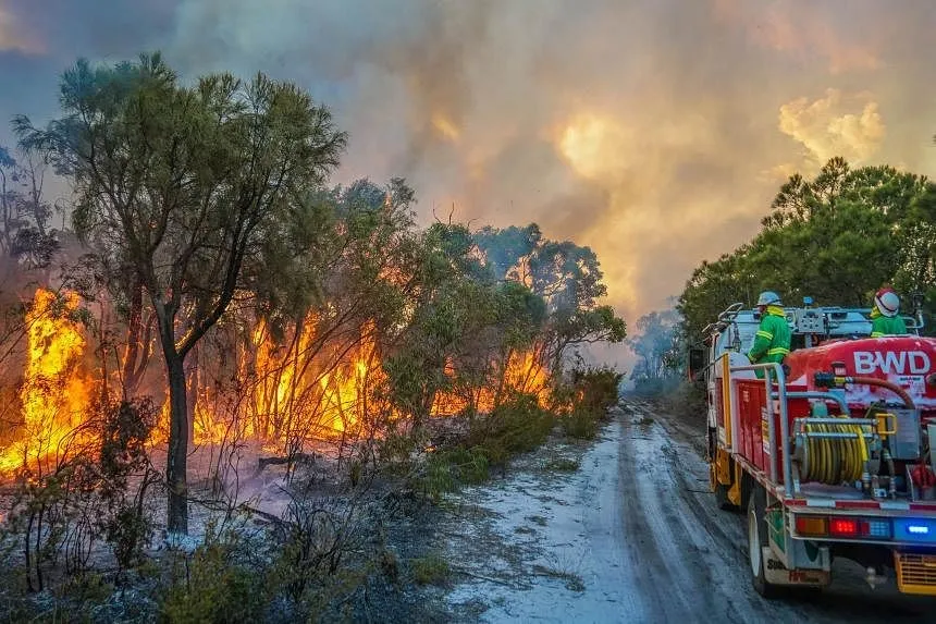 Lỗ thủng tầng ozone rộng thêm 10% vì cháy rừng ở Australia