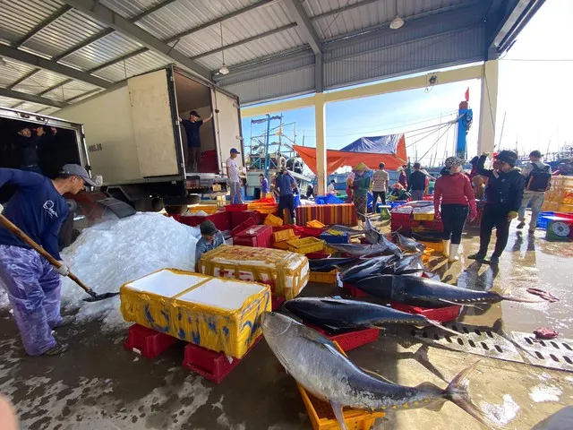 Quảng Ngãi mở cao điểm xử lý vi phạm khai thác thủy sản 1