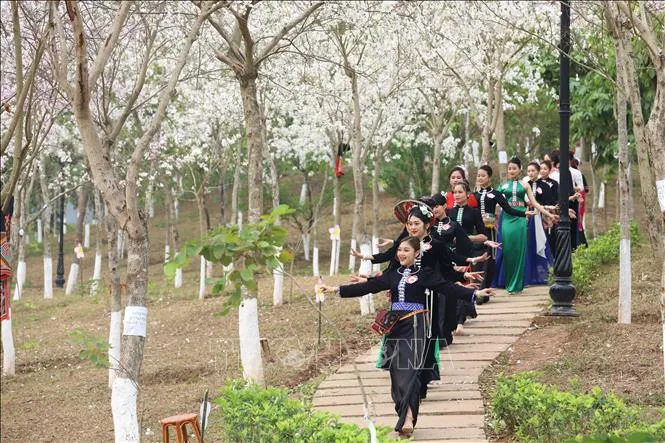 Nhiều hoạt động hấp dẫn tại Lễ hội “Mùa hoa Ban” thành phố Sơn La năm 2023 4
