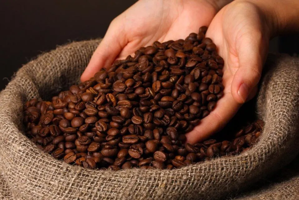 Giá cà phê hôm nay 14/3/2023: Giá Robusta suy yếu trong khi Arabica trên đà hồi phục 1