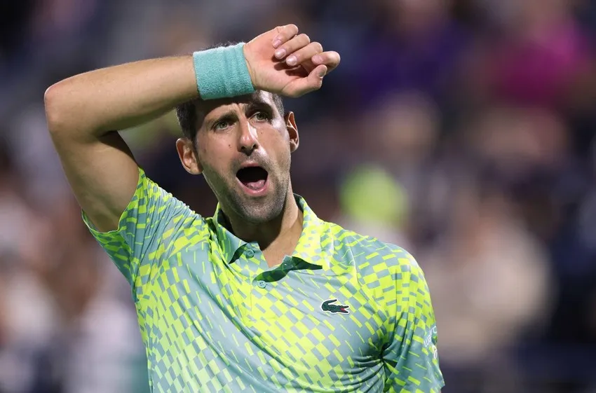 Miami Open: Alcaraz vào nhánh khó | Djokovic lại lỡ hẹn