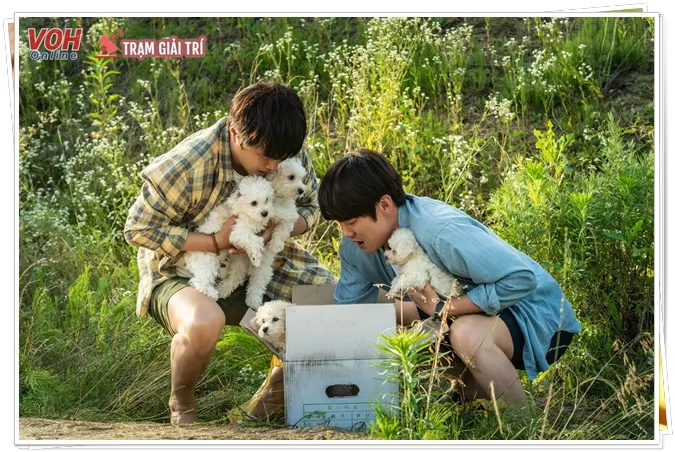 Tìm Nhà Cho Boss Review: Bộ phim chữa lành chạm trái tim, Yoo Yeon Seok khiến người xem rung động 9