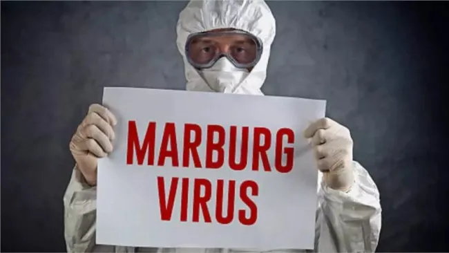 WHO cảnh báo số ca nhiễm virus Marburg gia tăng ở nhiều quốc gia 1