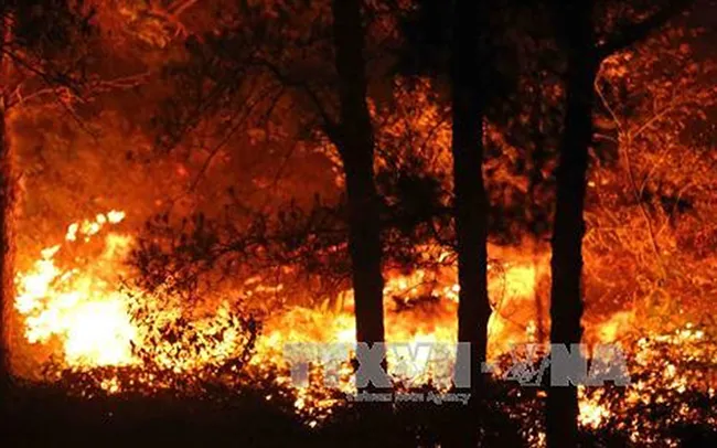 Dập tắt đám cháy rừng trong đêm ở Điện Biên