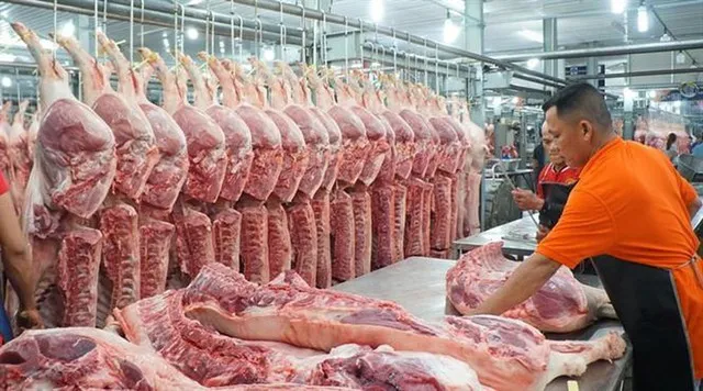 Giá heo hơi hôm nay 26/3/2023: Tuần tăng giảm 1.000 - 4.000 đồng/kg 1