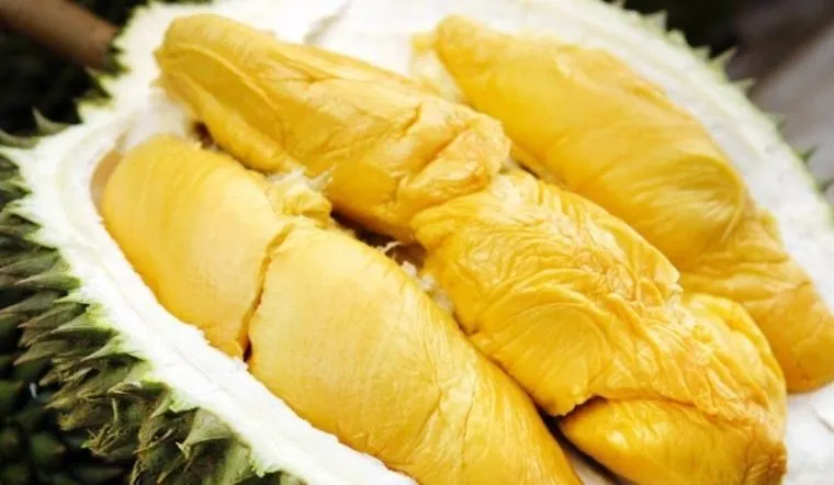 Sầu riêng Musang King trồng ở Việt Nam đắt 