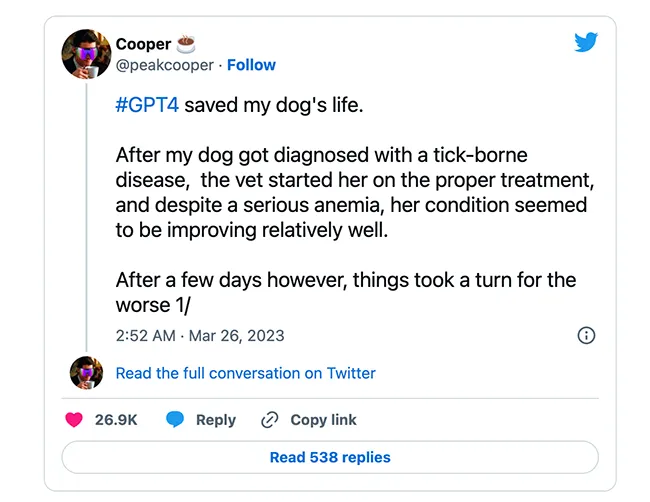 Người đàn ông cứu sống được chó cưng nhờ phiên bản GPT-4 của ChatGPT 1