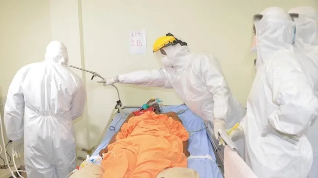 WHO kêu gọi Guinea Xích đạo báo cáo số ca nhiễm virus Marburg 1