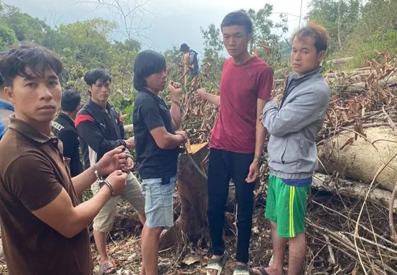 Bắt giữ 6 đối tượng phá rừng tại Lâm Đồng 1