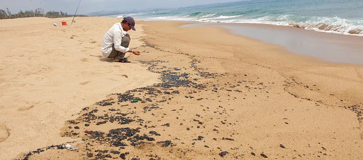 Vì sao có dầu vón cục trên bờ biển Tuy Hòa? 1