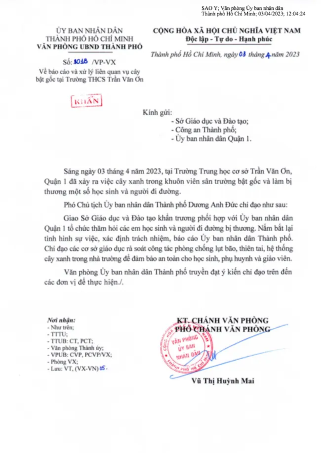 Yêu cầu xác định trách nhiệm vụ cây ngã tại trường Trần Văn Ơn 2
