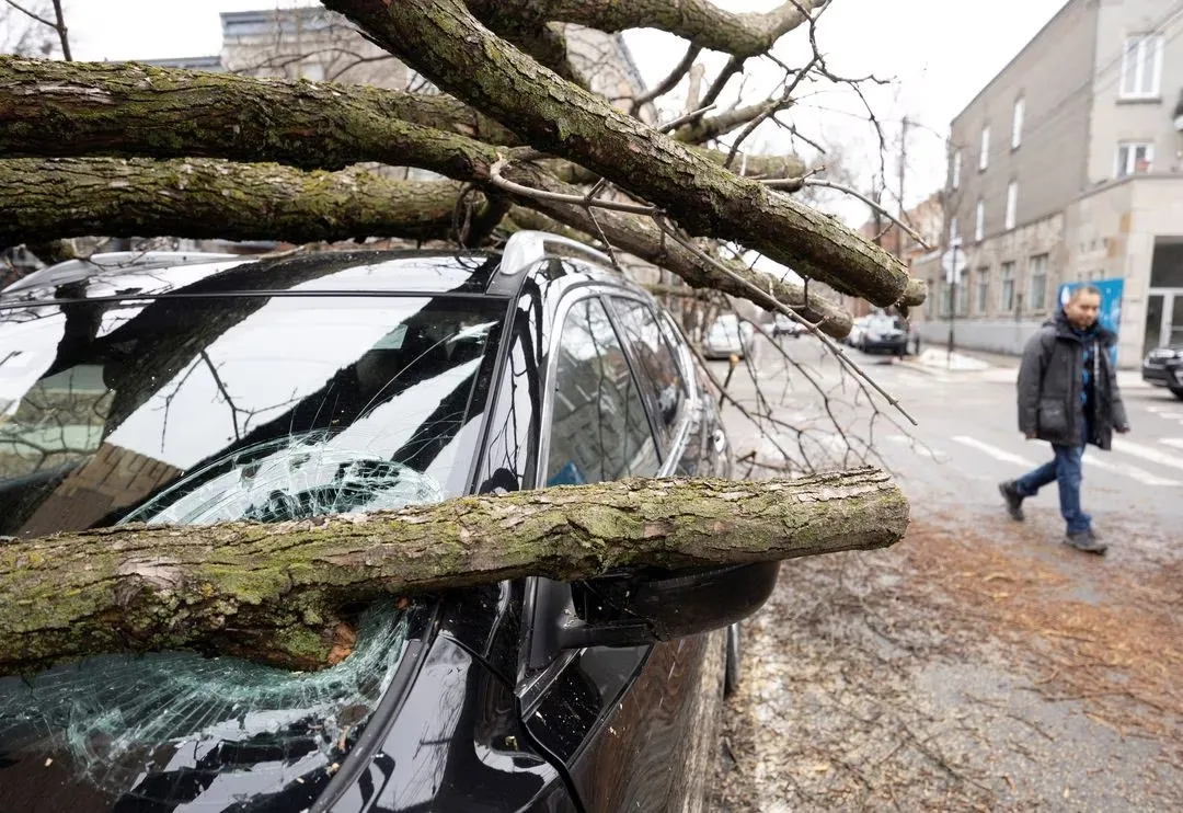 Bão tuyết nguy hiểm nhất trong vòng 20 năm ở Canada