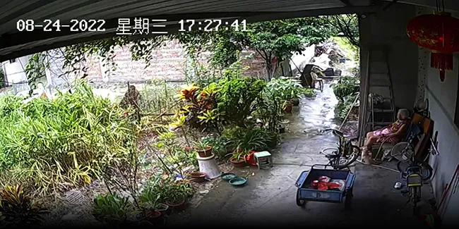 Trung Quốc: Con cháu ở xa sử dụng camera để quan sát người già và những tranh cãi trái chiều 2